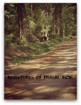 Acid Park Legend or Truth from North Carolina Lifestyle Blogger Adventures of Frugal Mom