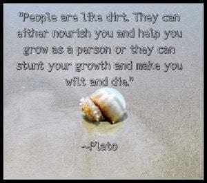 AFM Dirt quote