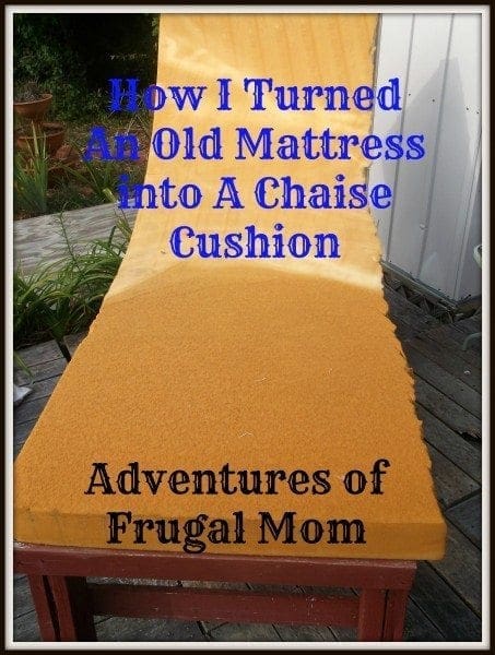 AFM Chaise Cushion