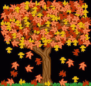 fall tree