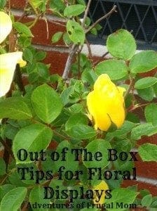 AFM Out Box Floral Display
