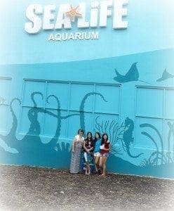 Sea Life Sign