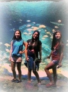 Sea Life Triplets