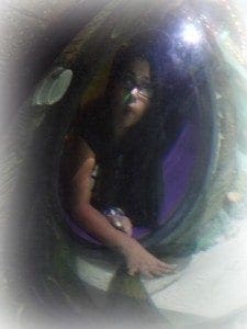 Sea life eel