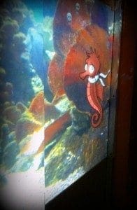 sea life entrance