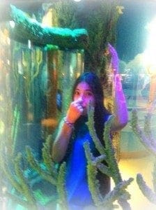 sea life nose