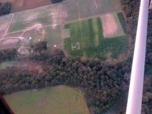 aerial view of corn maze