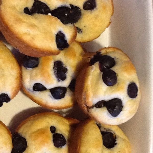 Recalling Memories with Blueberries from North Carolina Lifestyle Blogger Adventures of Frugal Mom