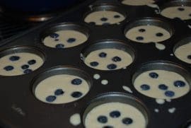 Recalling Memories with Blueberries from North Carolina Lifestyle Blogger Adventures of Frugal Mom
