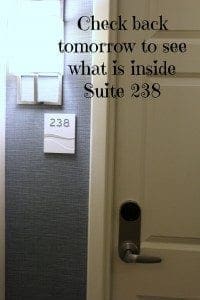 Suite 238