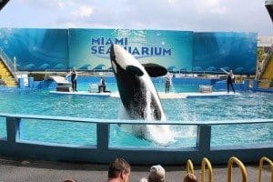 seaaquarium