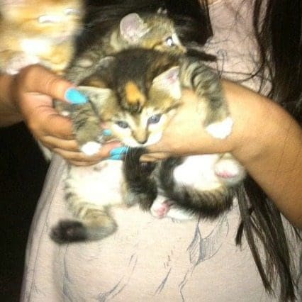 Mia Butterball