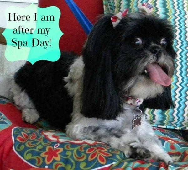 allie after spa day 