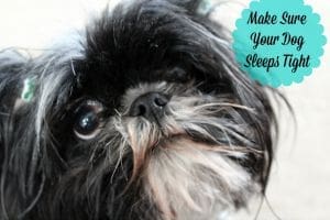 Make Sure Your Dog Sleeps Tight