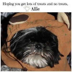Love Allie