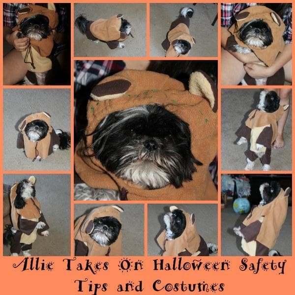 Allie Takes On Halloween Safety Tips and Costumes