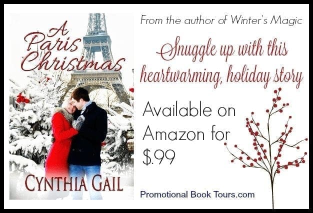 Looking For A Great Holiday Read : Check Out A Paris Christmas