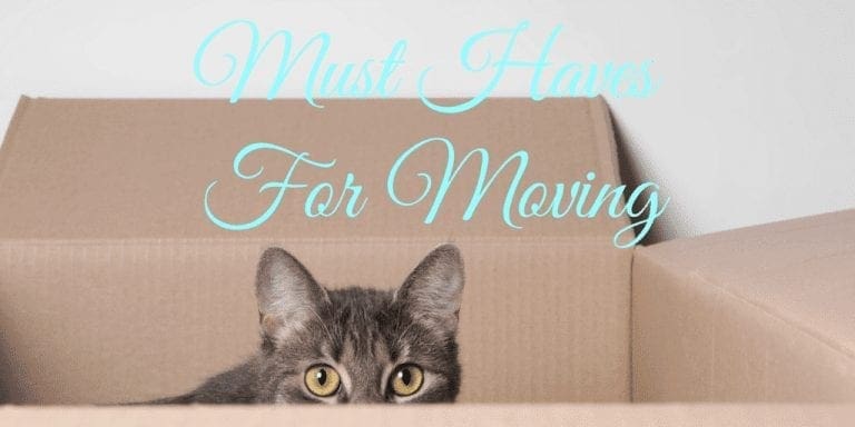 Must Haves For Moving