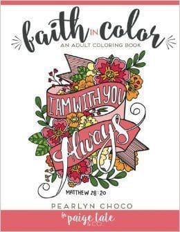 adult coloring book snowed in 