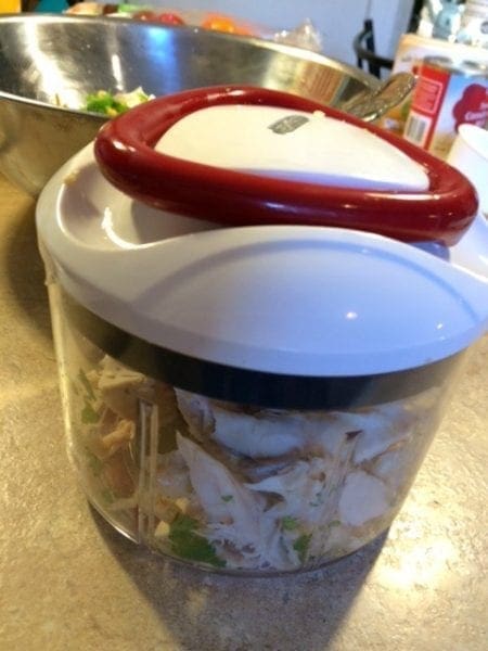 zyliss food processor