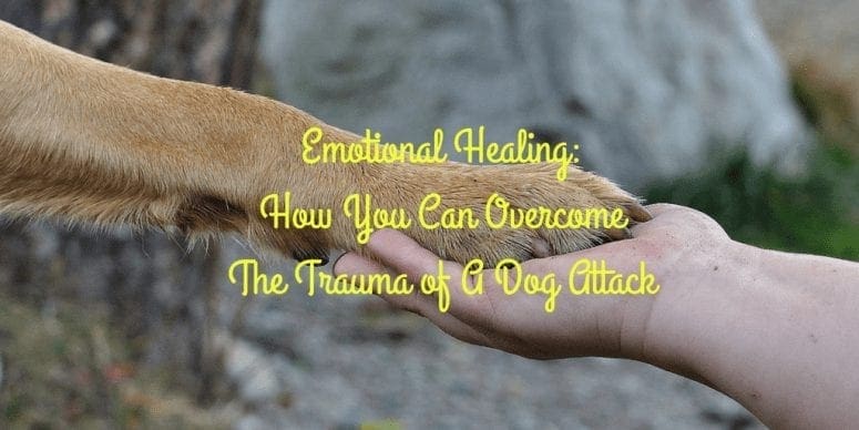 Emotional Healing: How You Can Overcome the Trauma of a Dog Attack