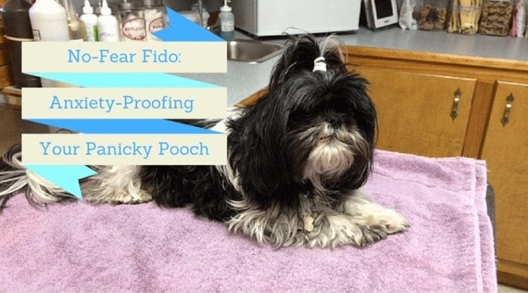No-Fear Fido: Anxiety-Proofing Your Panicky Pooch
