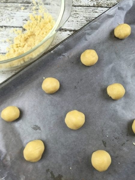 sugar cookie 