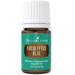 eucalyptus blue