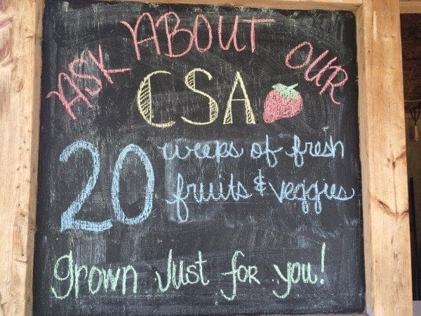 CSA Program