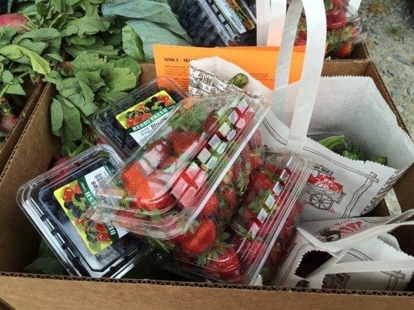 Goodies in CSA box