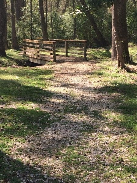 spring break walk