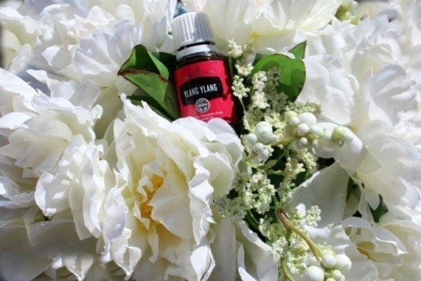 uses for ylang ylang