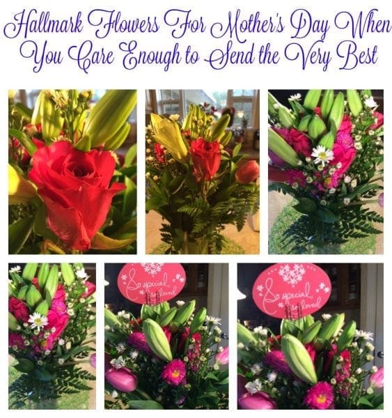 Hallmark flowers