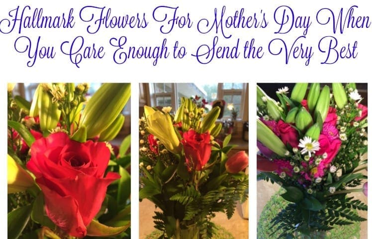 Hallmark Flowers Care Enough to Send the Very Best this Mother’s Day