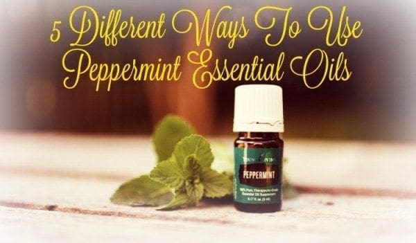 peppermint essential oils