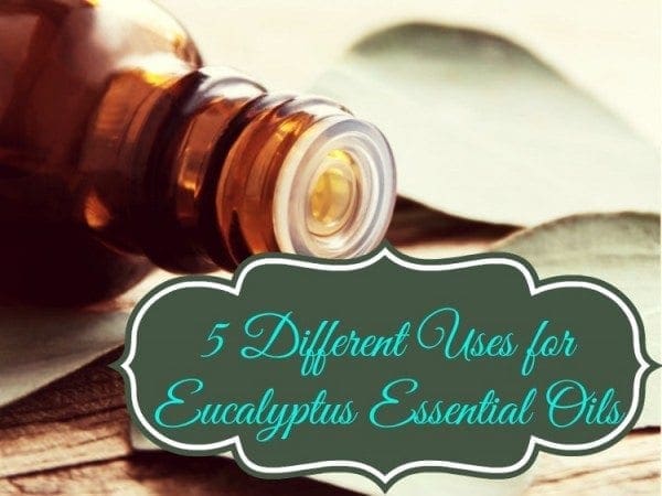 Eucalyptus Essential Oils