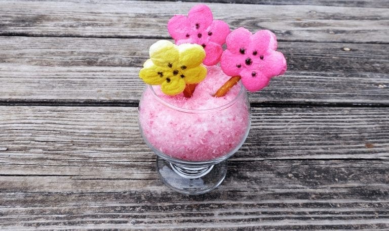 Marshmallow Flowers in a Snowball