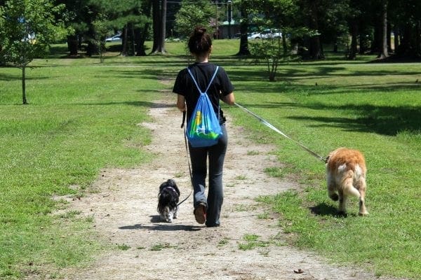 Walking at dog park