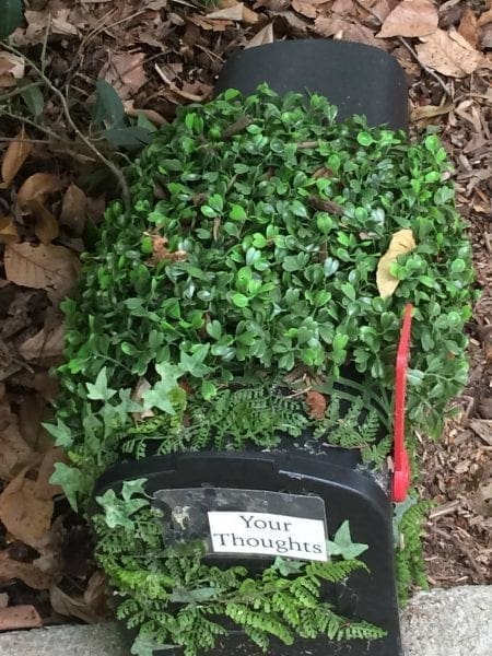 mailboxes blended into nature