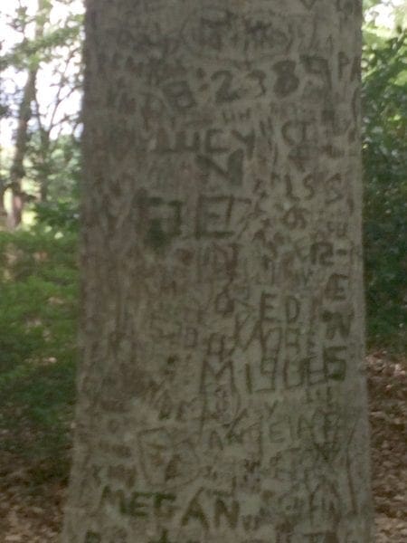 tree carving