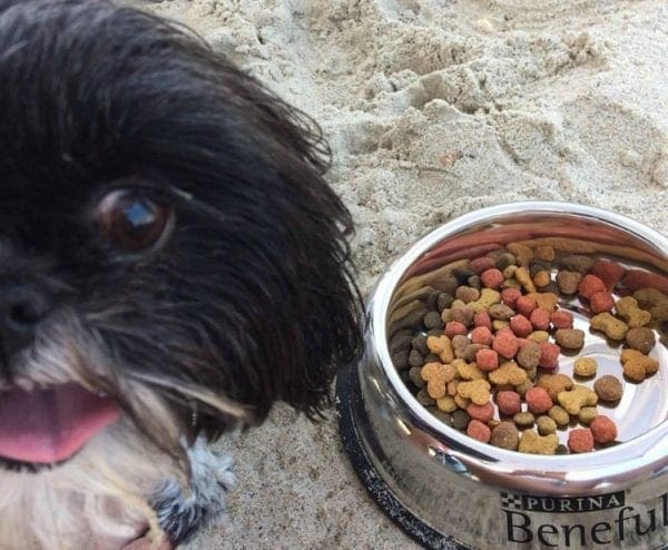 ALLIE AND beach feature