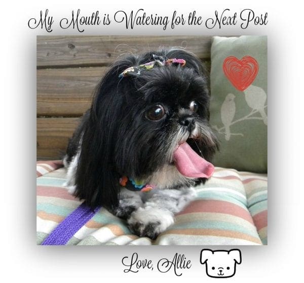 Giving Back Pet Adoption by North Carolina Lifestyle Blogger Adventures of Frugal Mom
