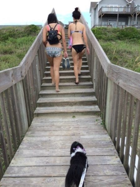 back from the beach