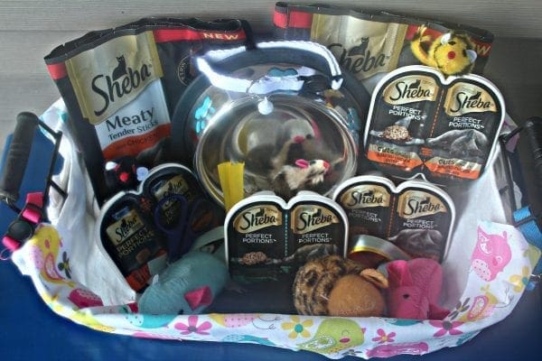 cat food basket