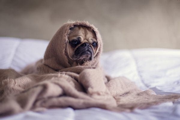 essential oils to help you sleep