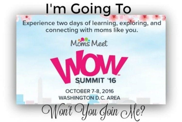 Join Me This Weekend at the Wow Summit #WowSummit