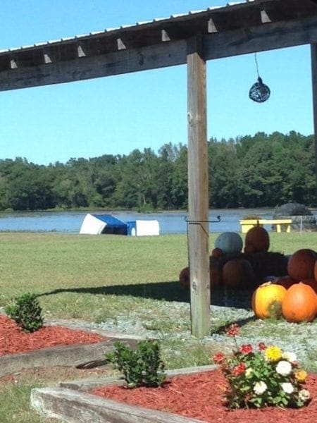 Odom Farm