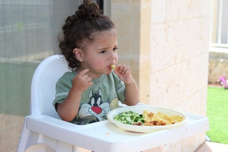 Tips for Making Sure Your Picky Eater is Getting a Balanced Diet