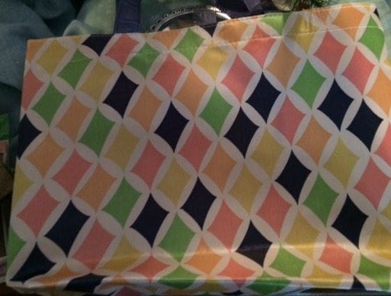 bag-of-many-colors-real-strength-kathy