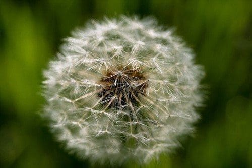 4 Benefits of a Home Air Purifier